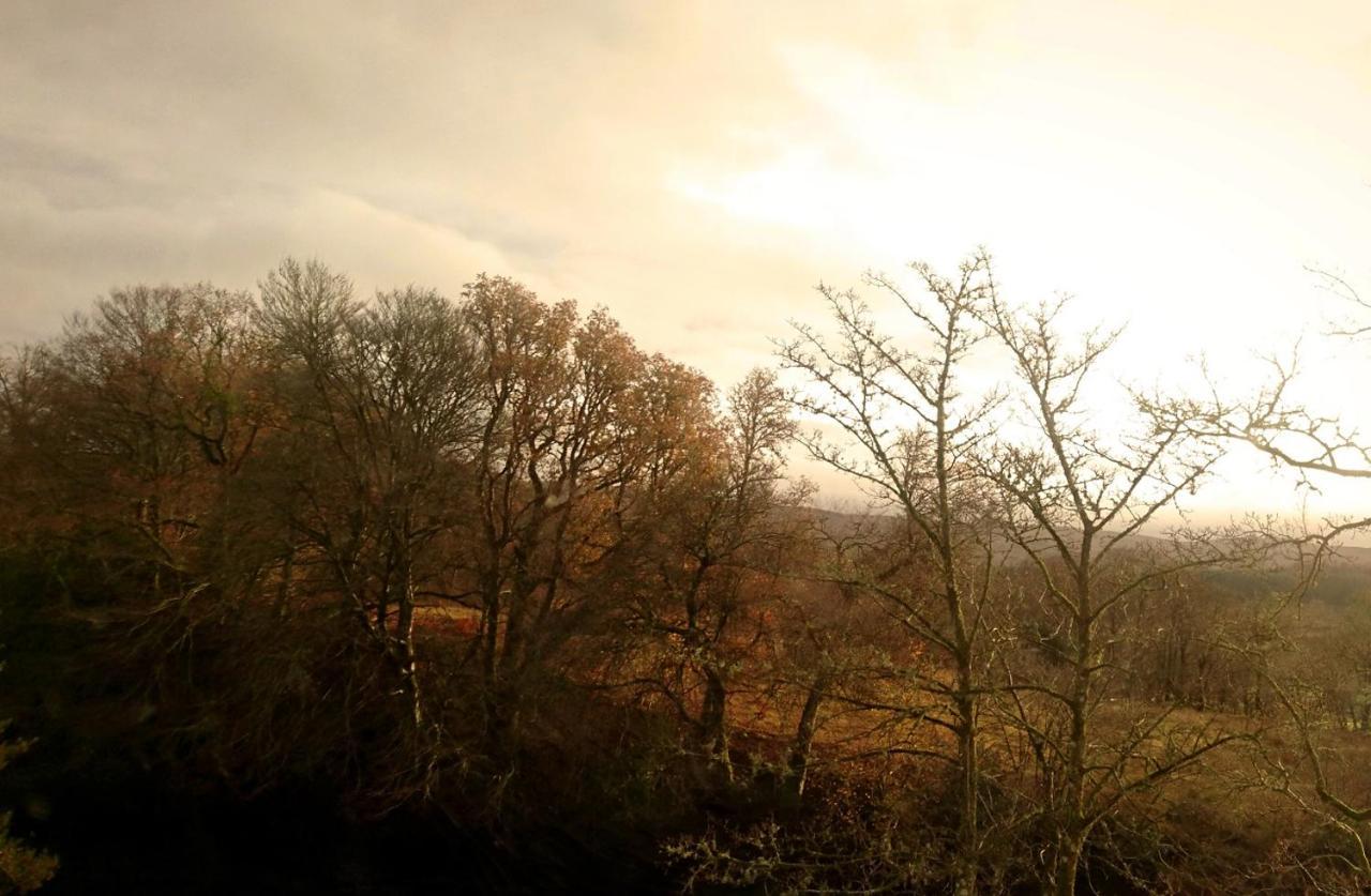 Orchy Bank House Bed & Breakfast Dalmally Dış mekan fotoğraf